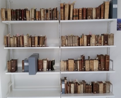 collection-reconstituee